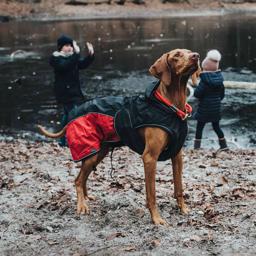 Hunter Uppsala Allrounder HundeJakke 2i1 Antracit Rød